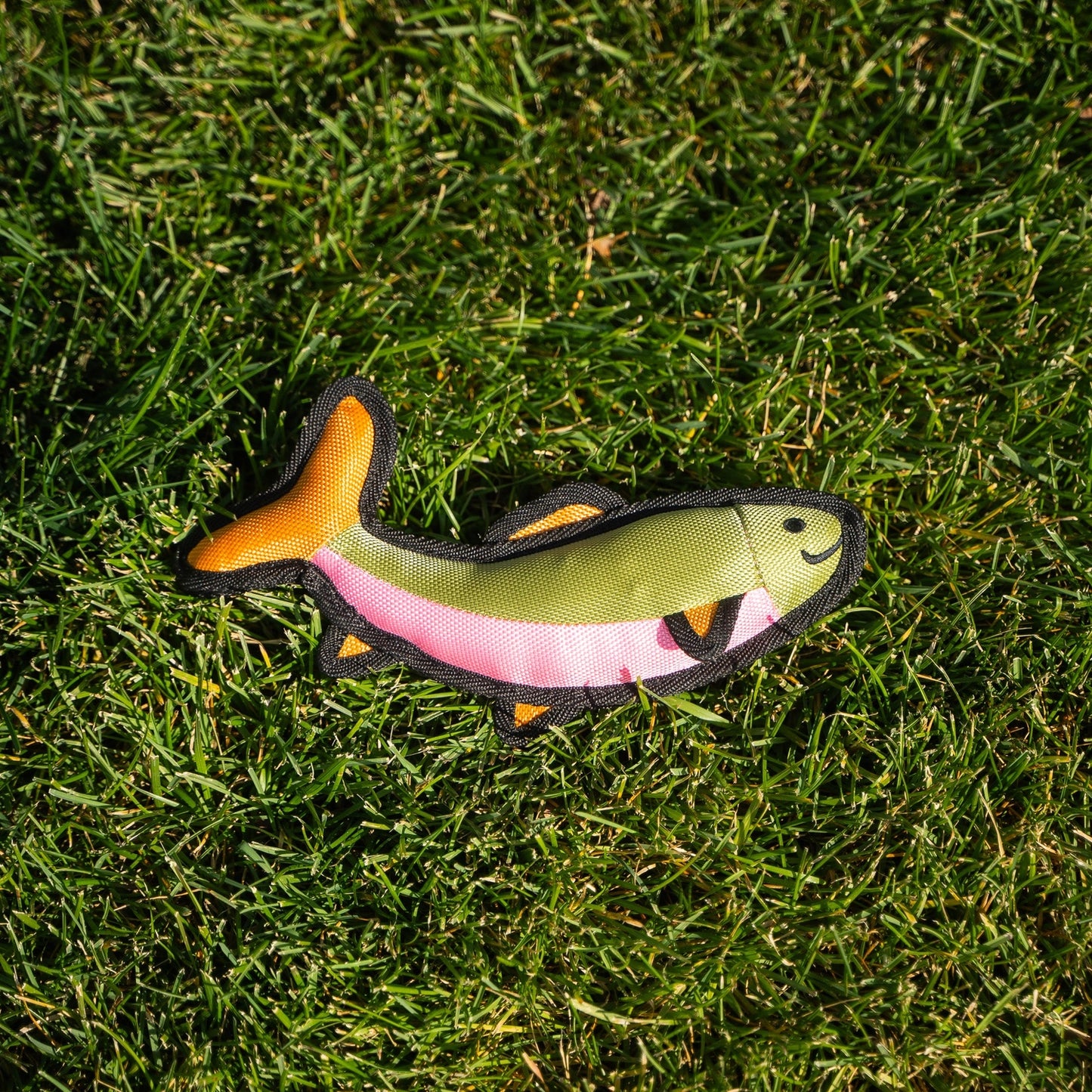 Fish Dog Toy