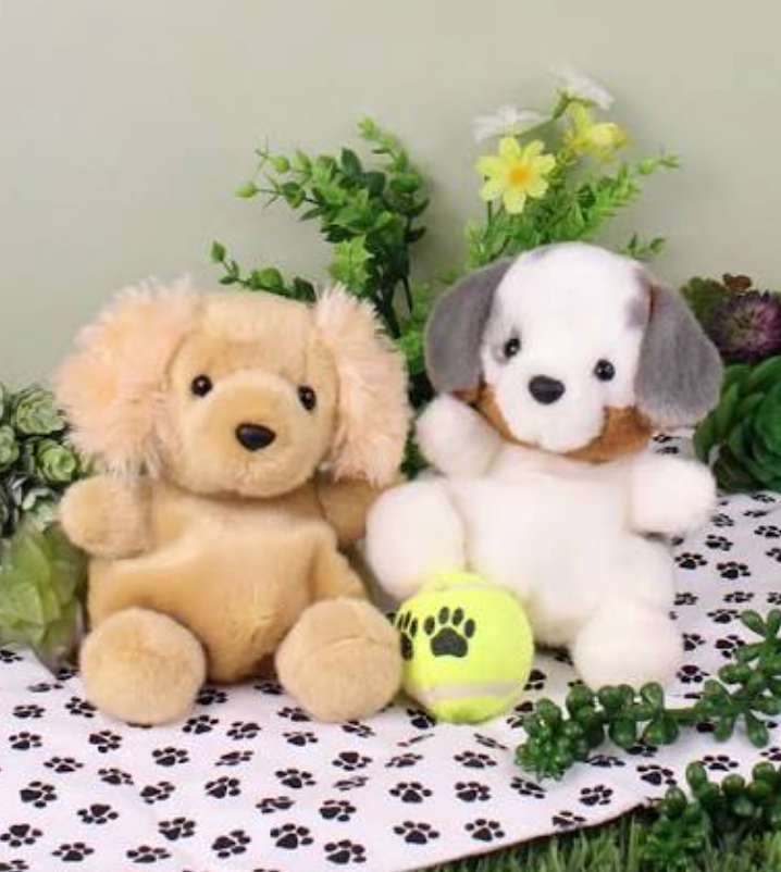 Camp Outpost: Adopt A Pal
