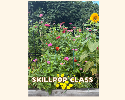 Start Your Kitchen Garden