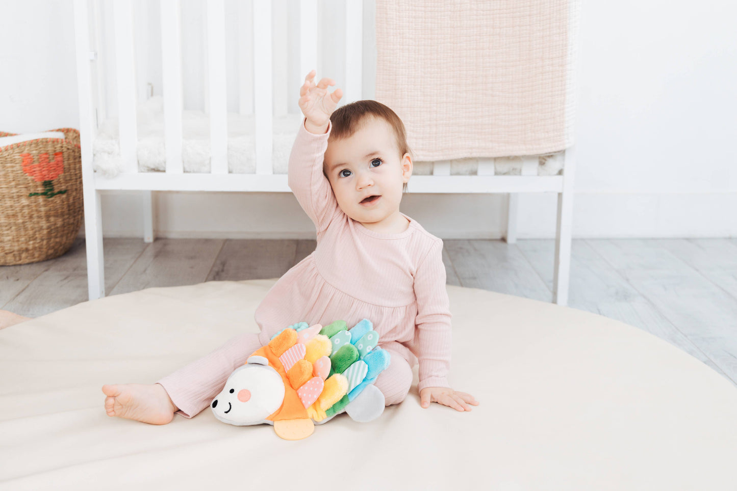 Hedgehog Montessori Snuggly Sensory Toy with Crinkle Tabs