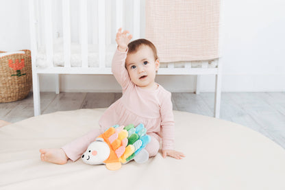 Hedgehog Montessori Snuggly Sensory Toy with Crinkle Tabs