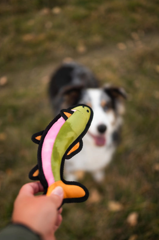 Fish Dog Toy