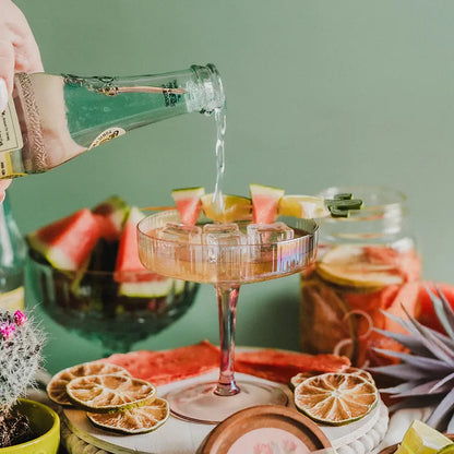 Cactus Cooler Infusion Kit