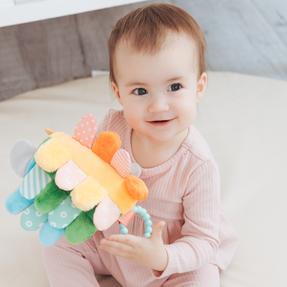 Hedgehog Montessori Snuggly Sensory Toy with Crinkle Tabs