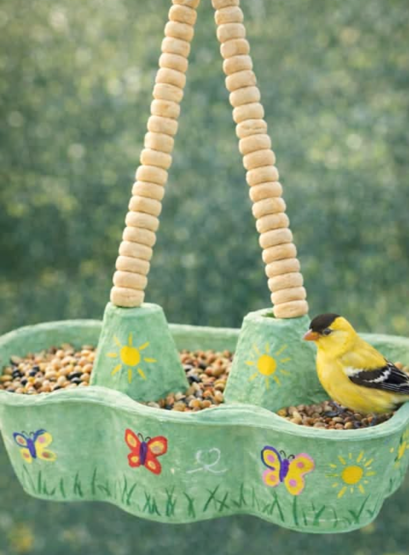 Camp Outpost: Backyard Bird Bonanza