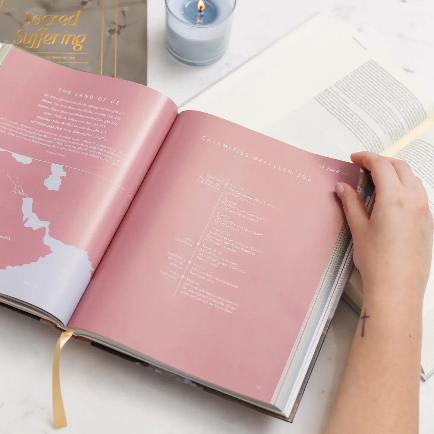 The Bible Handbook: A Book-By-Book Guide To the Entire Bible