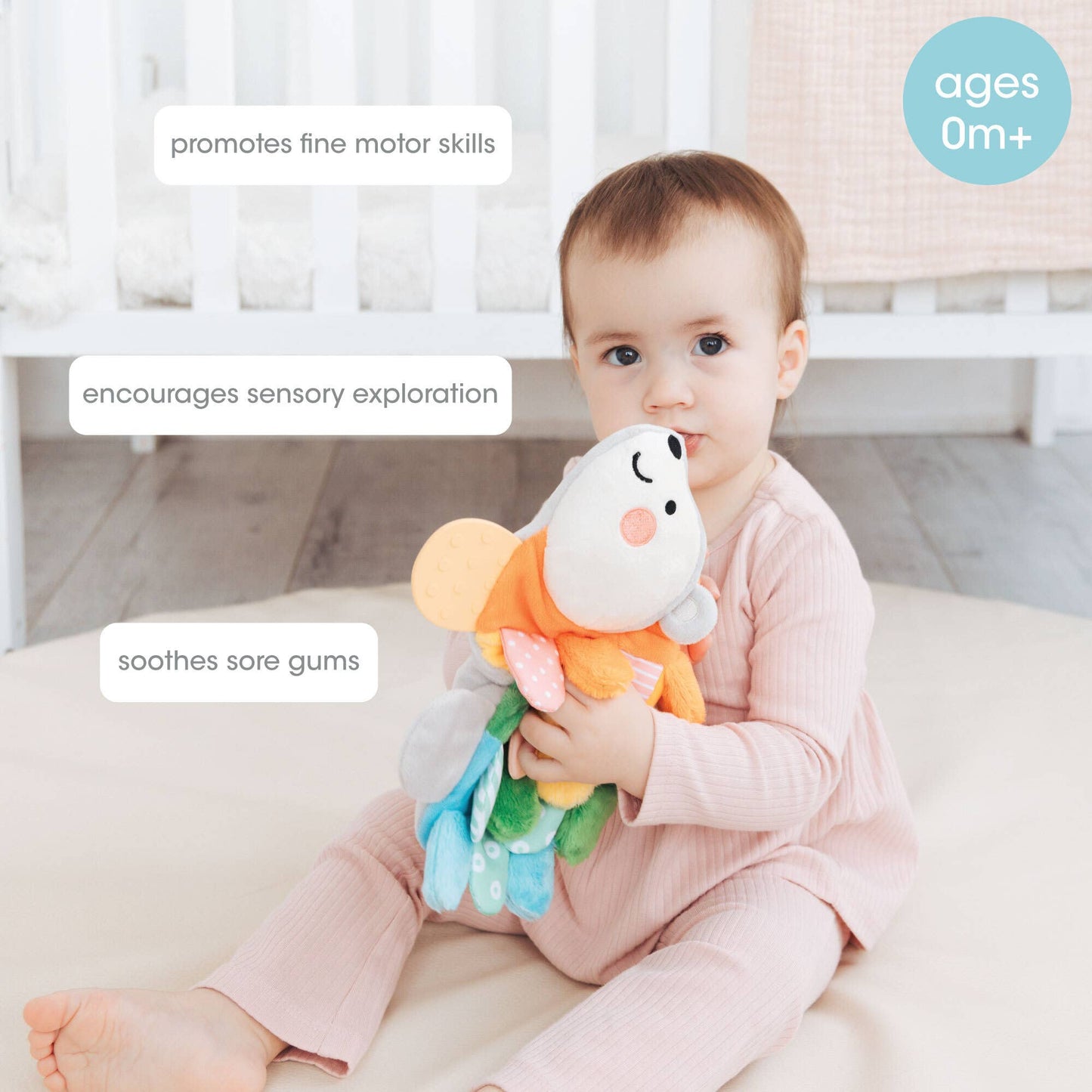 Hedgehog Montessori Snuggly Sensory Toy with Crinkle Tabs