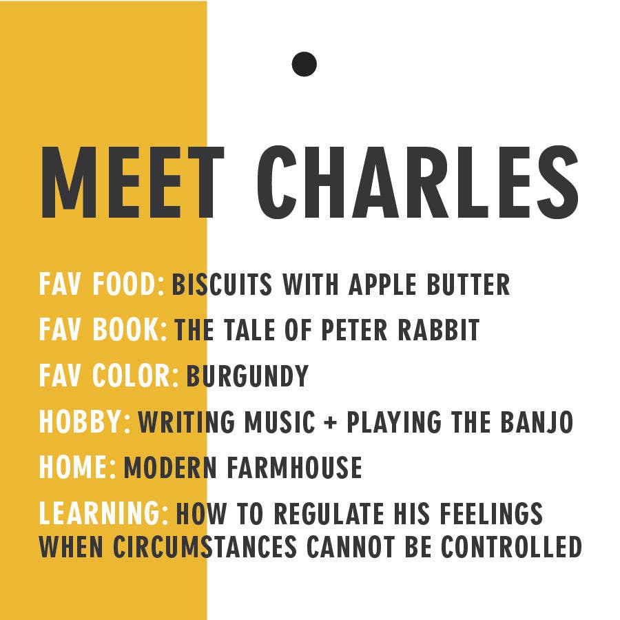 Charles the Chicken, handmade plush toy