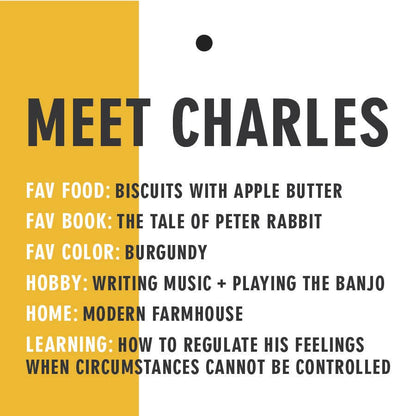 Charles the Chicken, handmade plush toy